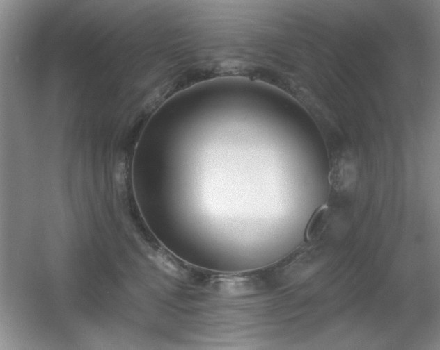 X0000056010472200508221459