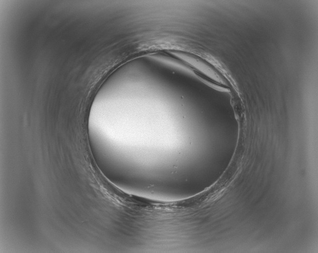 X0000056010481200508221458