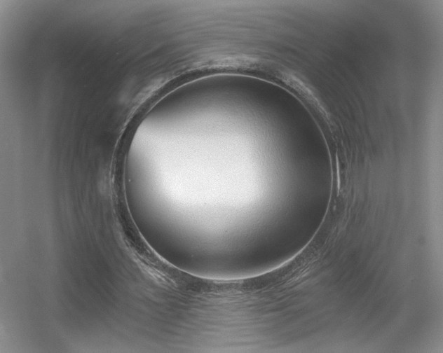 X0000056010483200508221458