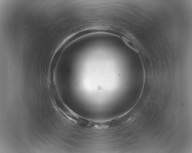 X0000056010484200508221458