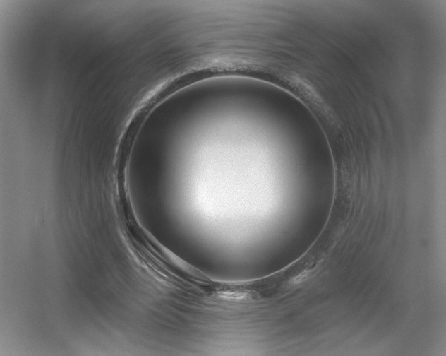 X0000056010488200508221458