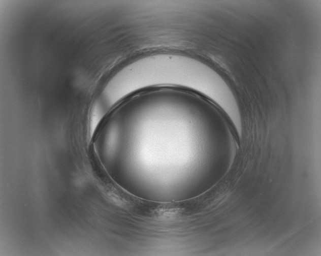 X0000056010495200508221458