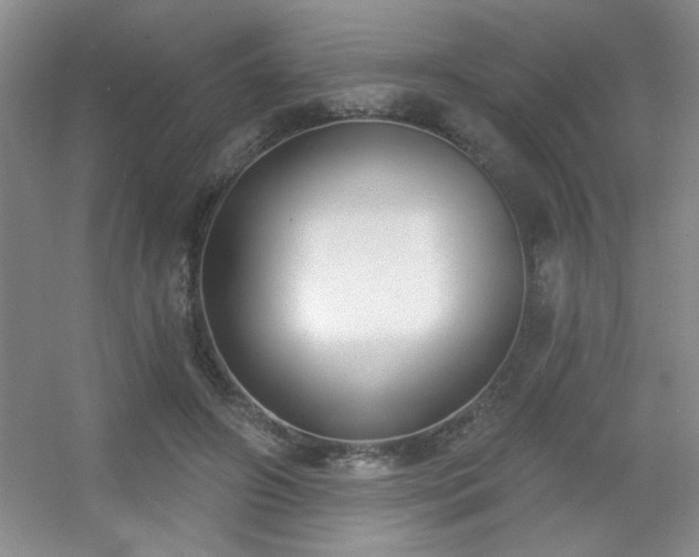 X0000056010498200508221458