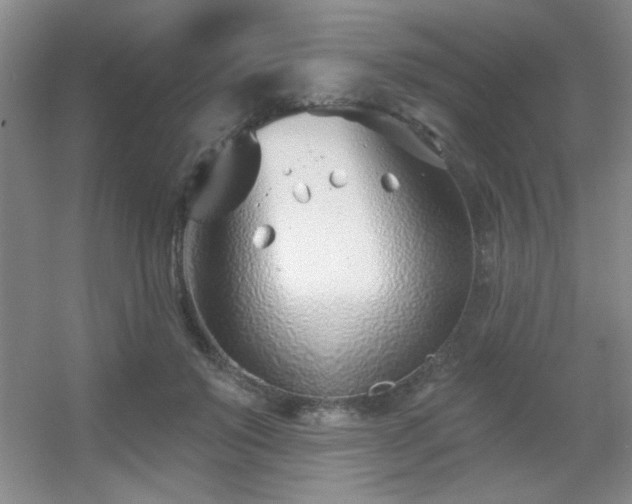 X0000056010503200508221458