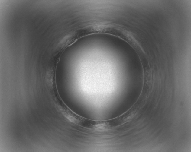 X0000056010505200508221458