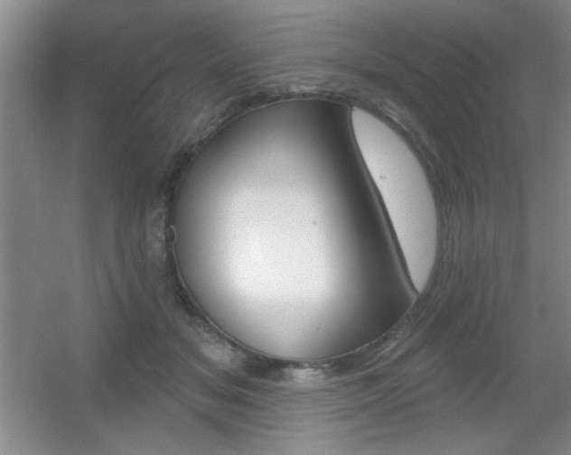 X0000056010509200508221458