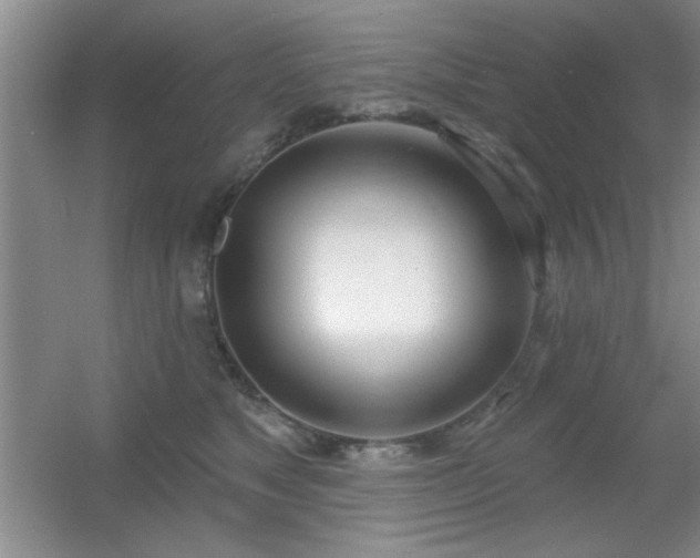 X0000056010517200508221458