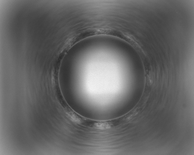 X0000056010520200508221458