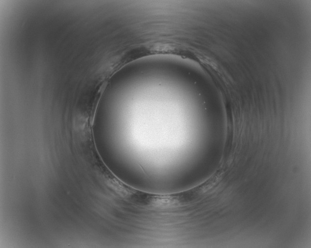 X0000056010521200508221458