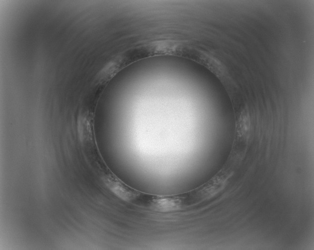 X0000056010522200508221458
