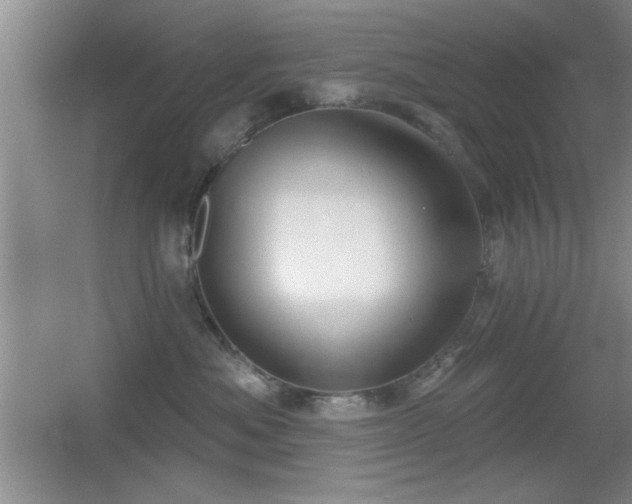 X0000056010525200508221458