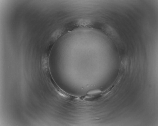 X0000056010526200508221458