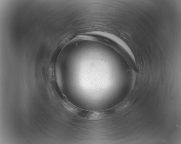 X0000056010527200508221458