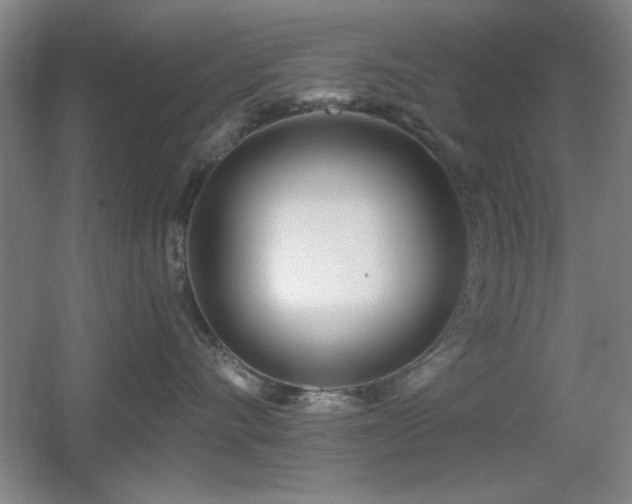 X0000056010528200508221458