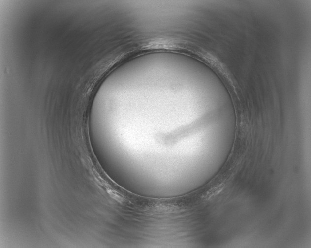 X0000056010529200508221457