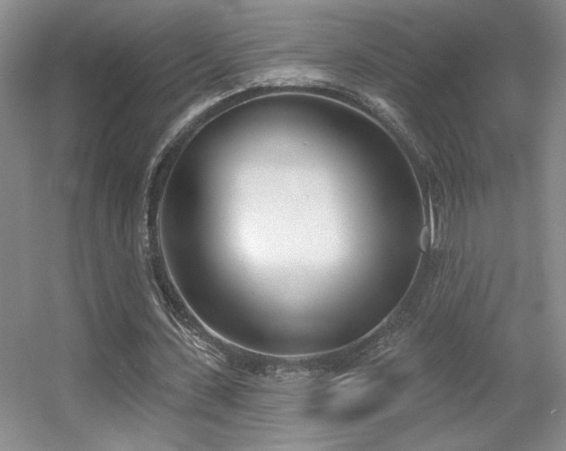 X0000056010531200508221457