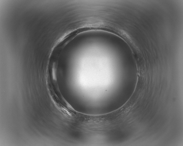 X0000056010532200508221457