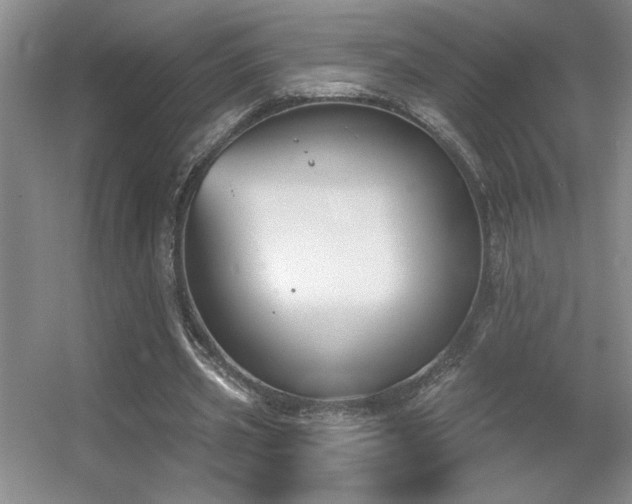 X0000056010533200508221457