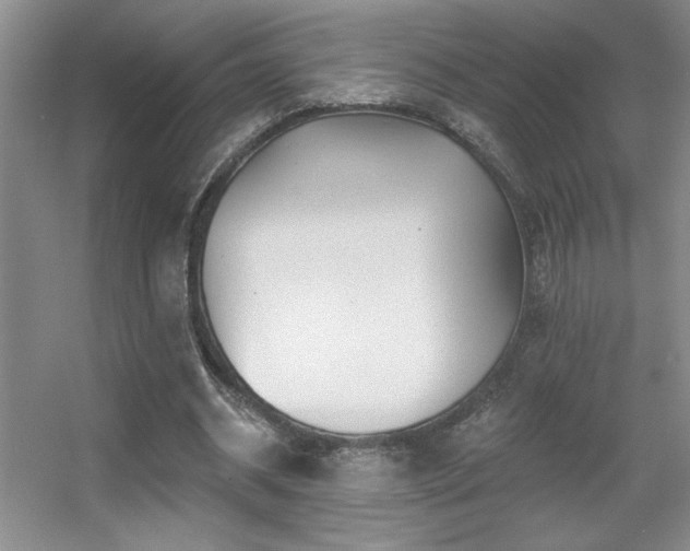X0000056010534200508221457