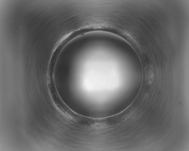 X0000056010536200508221457