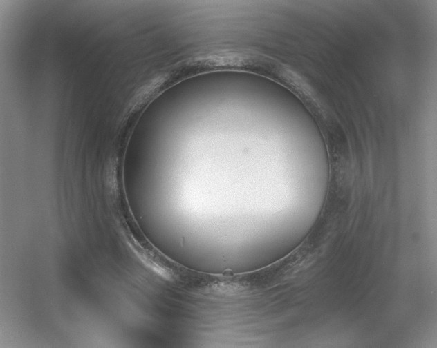 X0000056010537200508221457