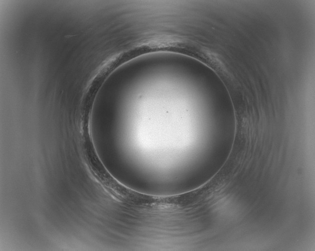 X0000056010539200508221457