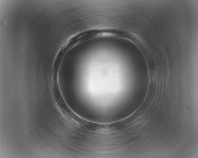 X0000056010540200508221457