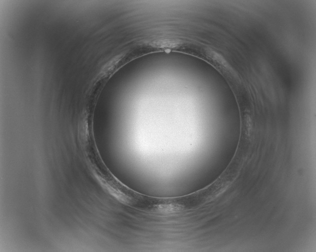 X0000056010541200508221457