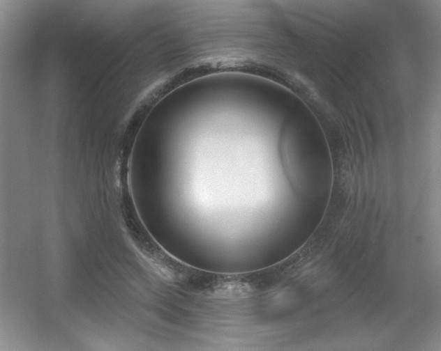 X0000056010543200508221457