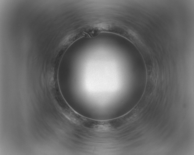 X0000056010548200508221457