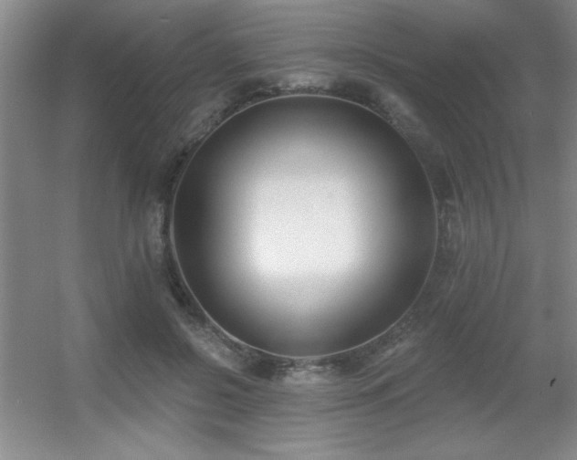 X0000056010550200508221457