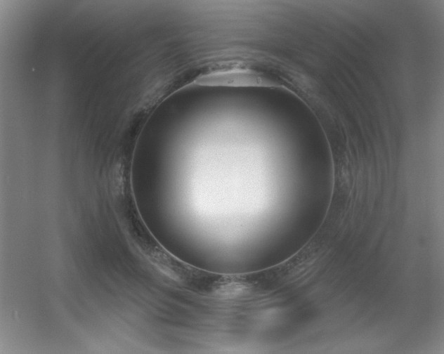 X0000056010551200508221457
