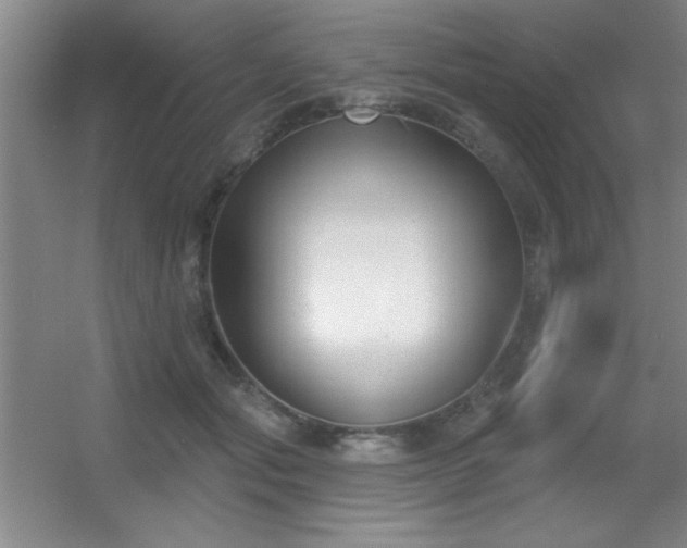 X0000056010557200508221457