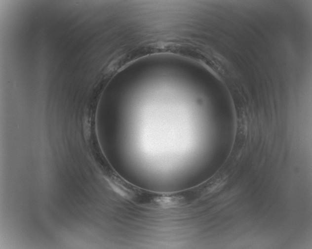 X0000056010558200508221457