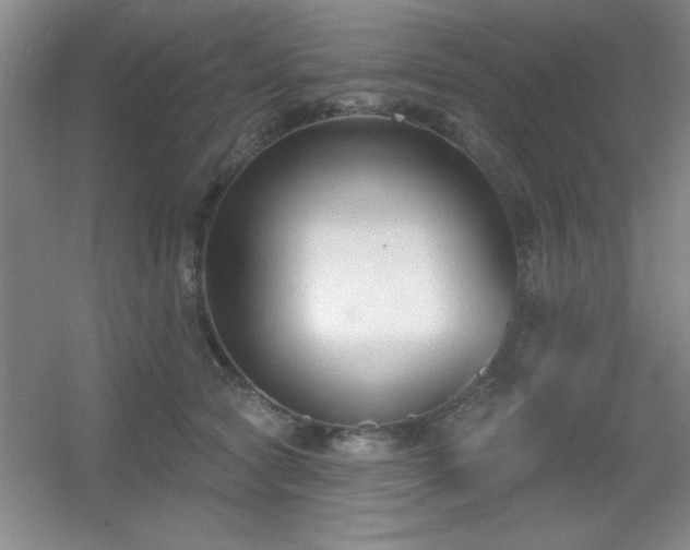 X0000056010561200508221457
