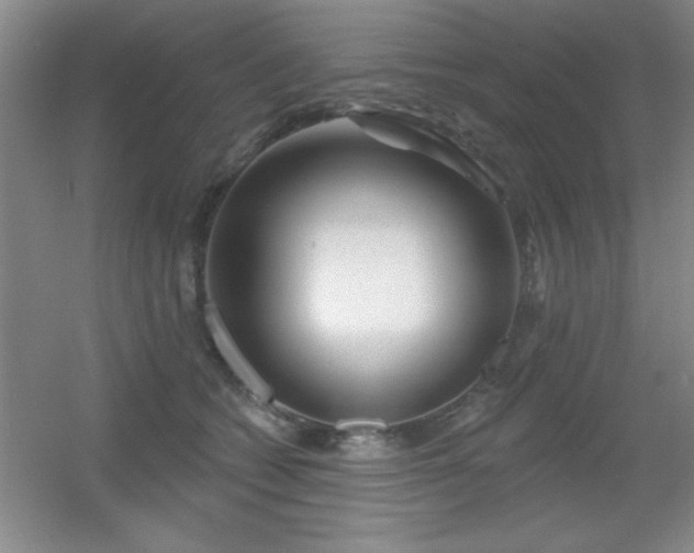 X0000056010562200508221457