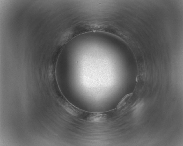 X0000056010563200508221457