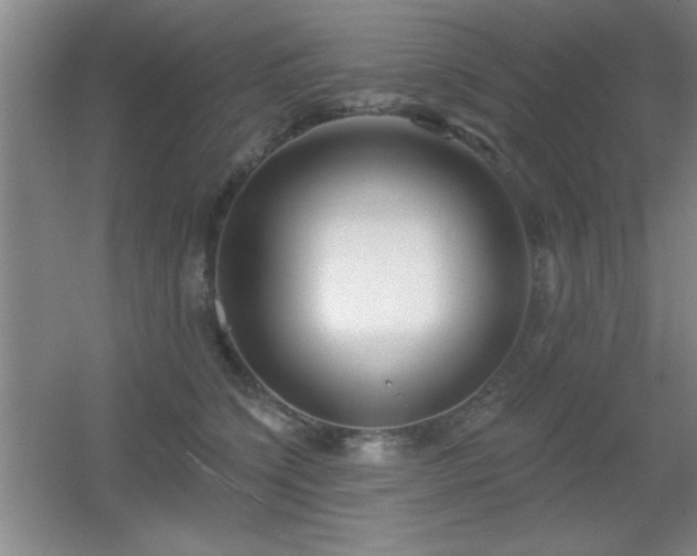 X0000056010564200508221457