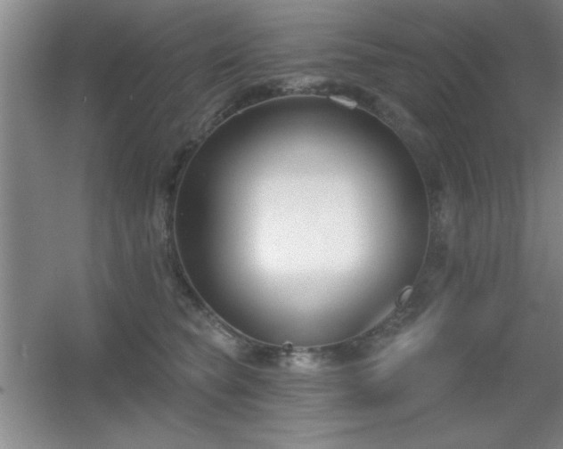 X0000056010565200508221457