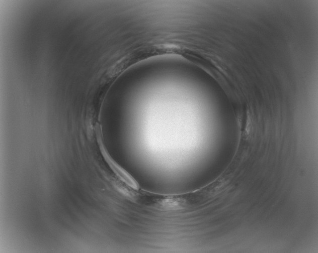 X0000056010566200508221457