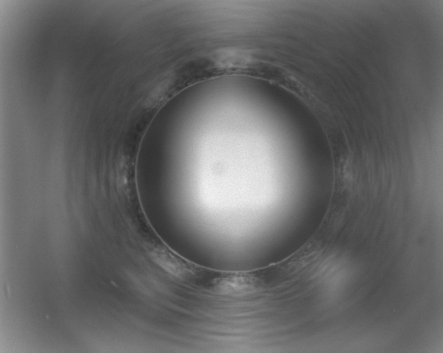 X0000056010567200508221457