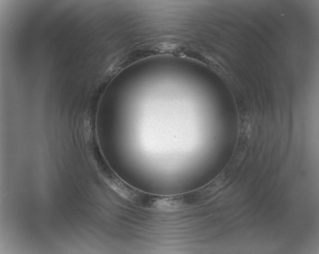 X0000056010568200508221457