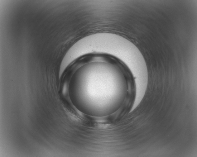 X0000056010570200508221457