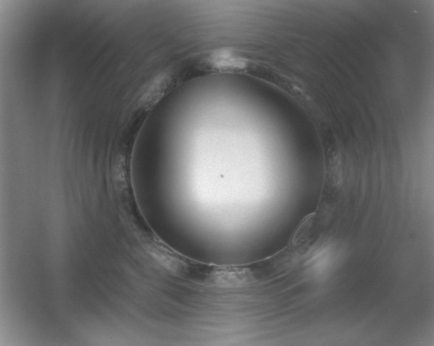 X0000056010571200508221457