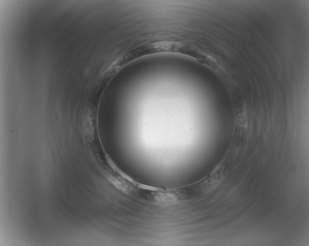 X0000056010572200508221457