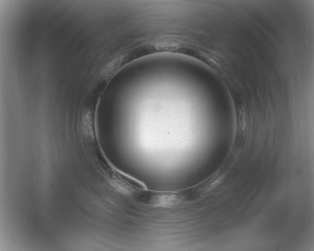 X0000056010575200508221457