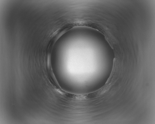 X0000056010576200508221458
