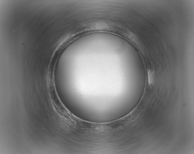 X0000056010579200508221457