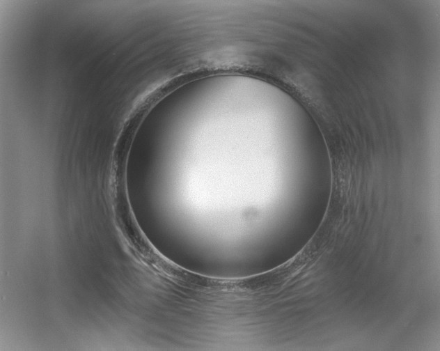 X0000056010583200508221457