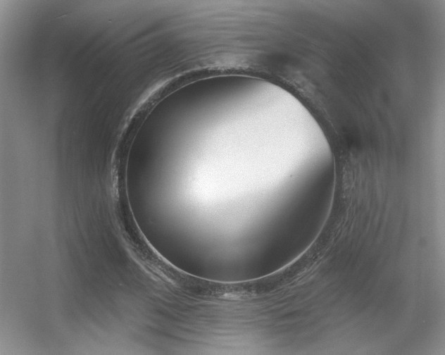 X0000056010584200508221457